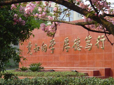 最下方的“1901”字样